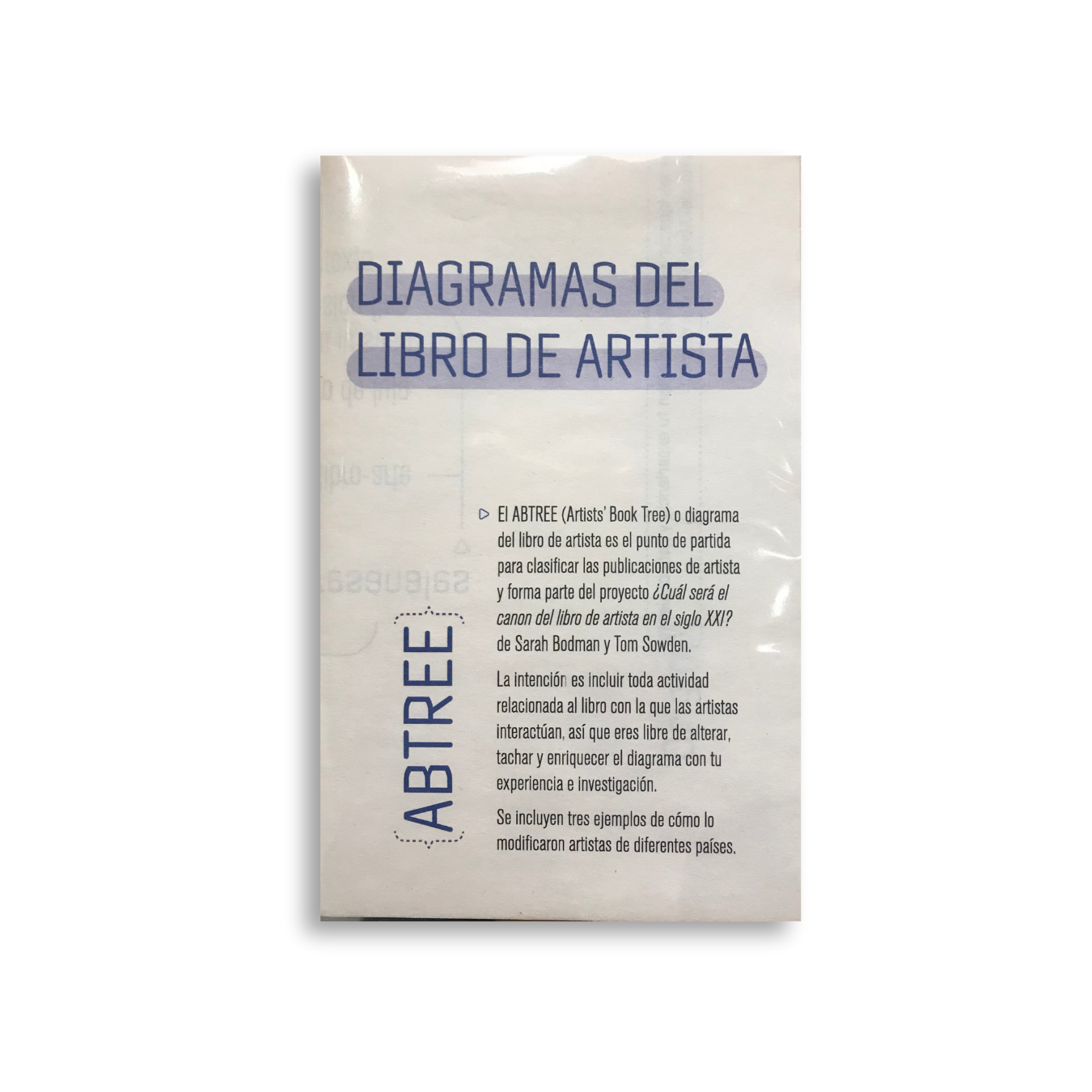 Diagramas del libro de artista (3a ed)