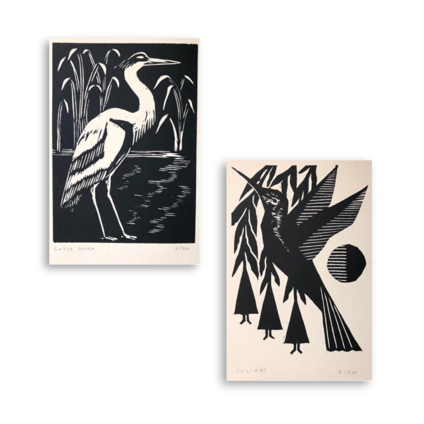 Pájaro Print Fábrica de estampas