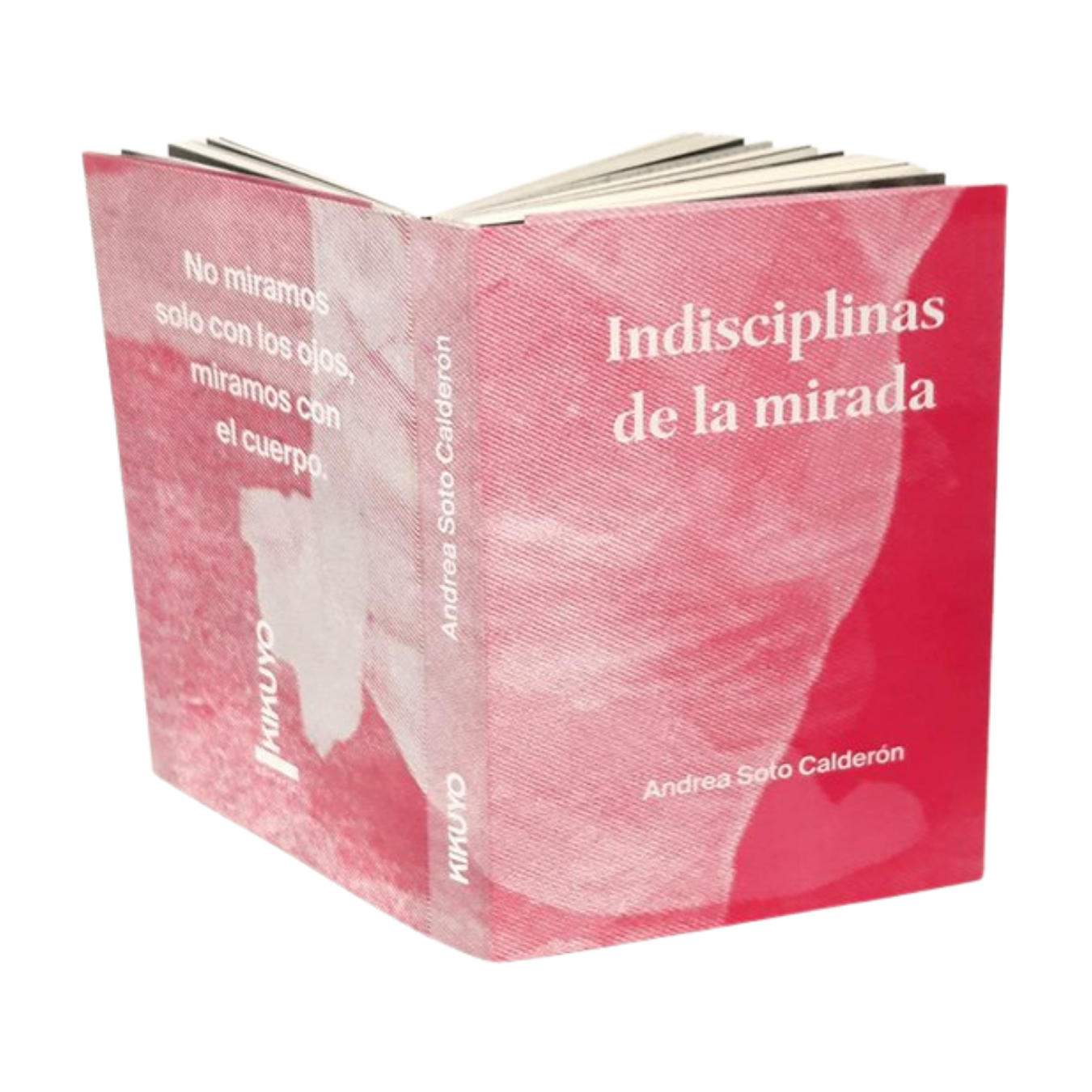 Indiciplinas de la mirada
