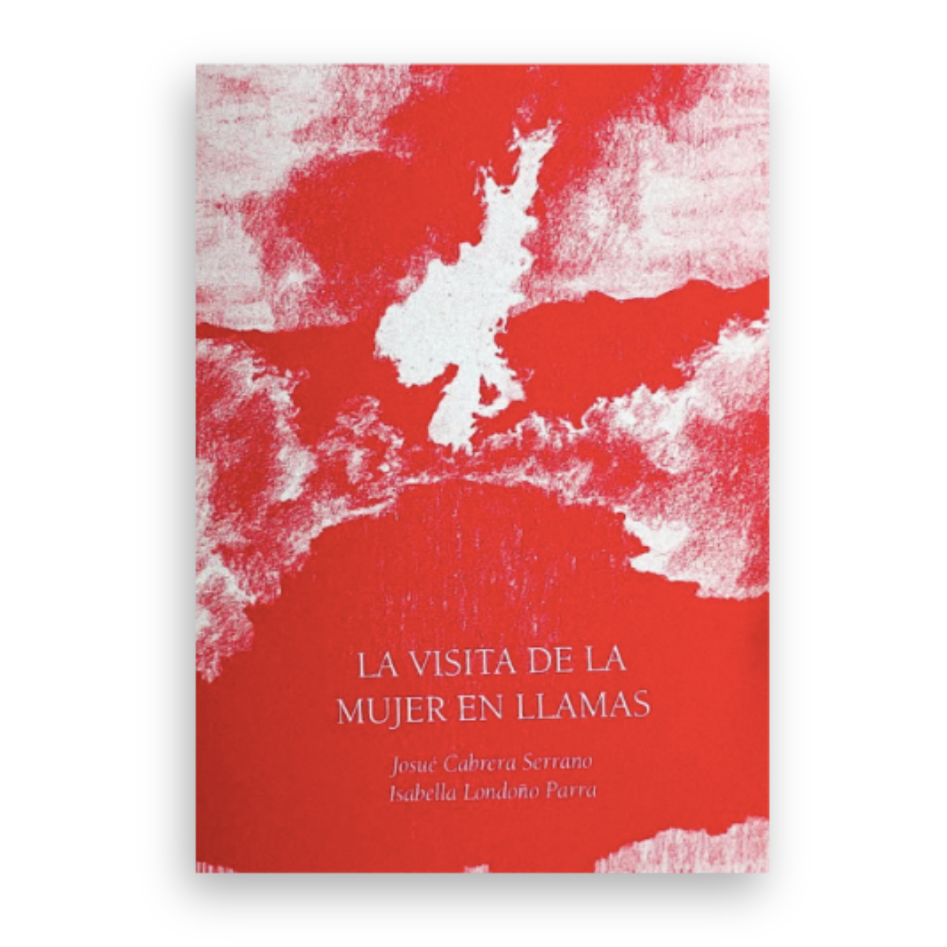 LA VISITA DE LA MUJER EN LLAMAS