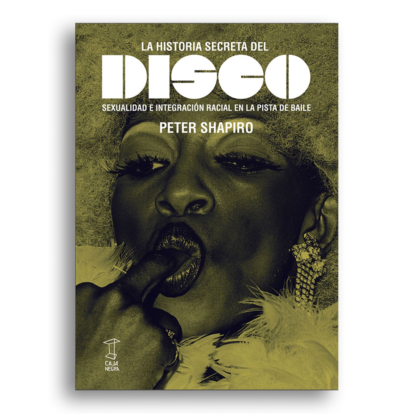 Historia secreta del disco, La: Sexualidad e integración racial en la pista de baile