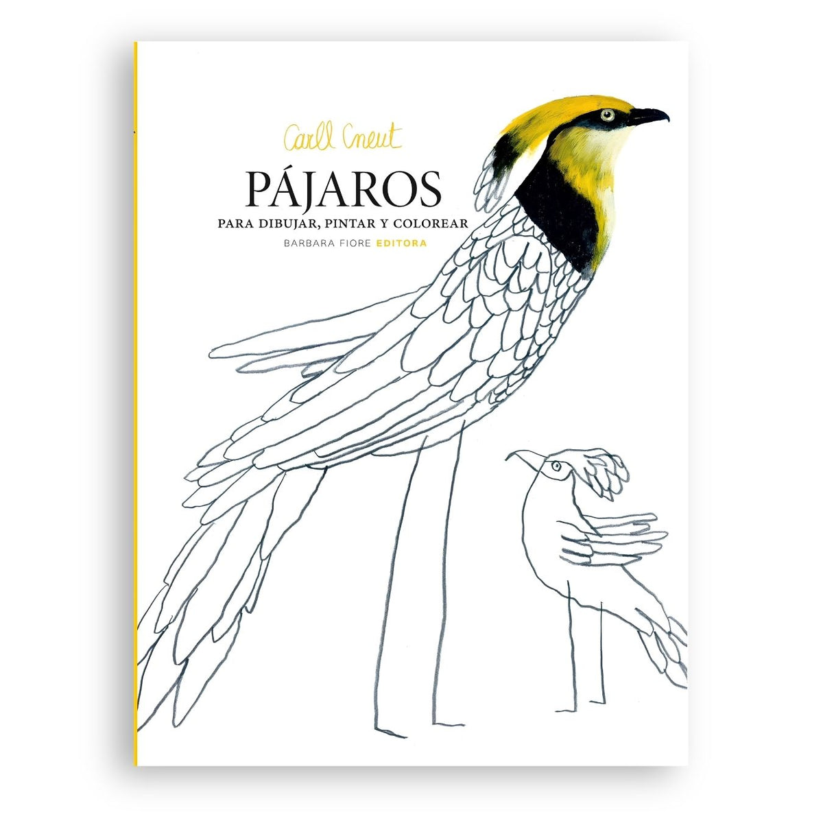 Pájaros para dibujar, pintar y colorear