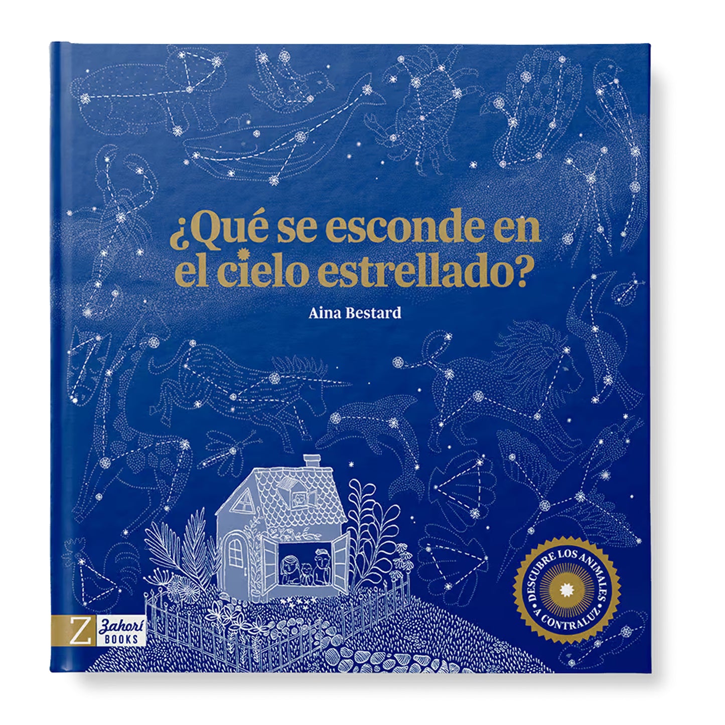 ¿Qué se esconde en el cielo?