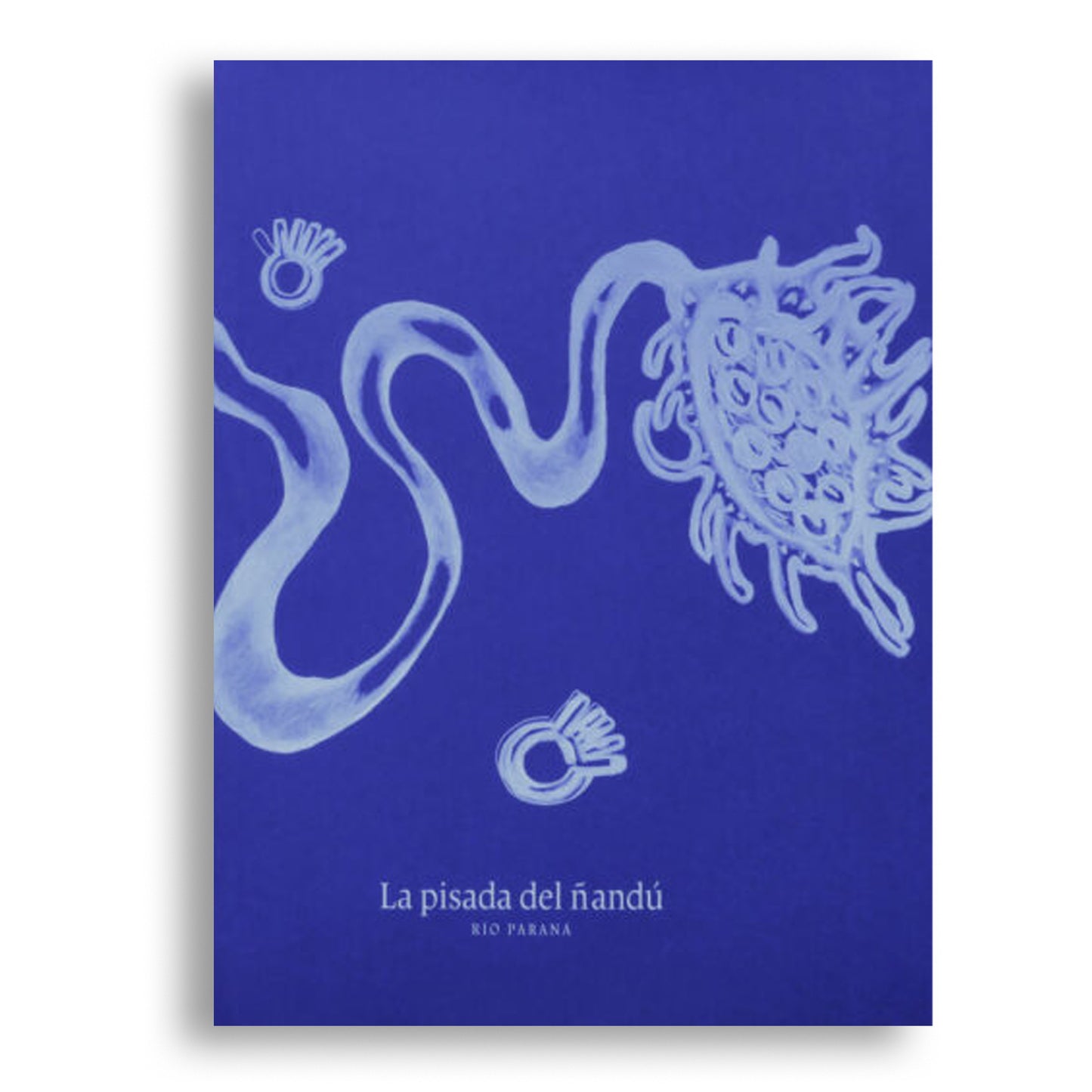 La pisada del Ñandú