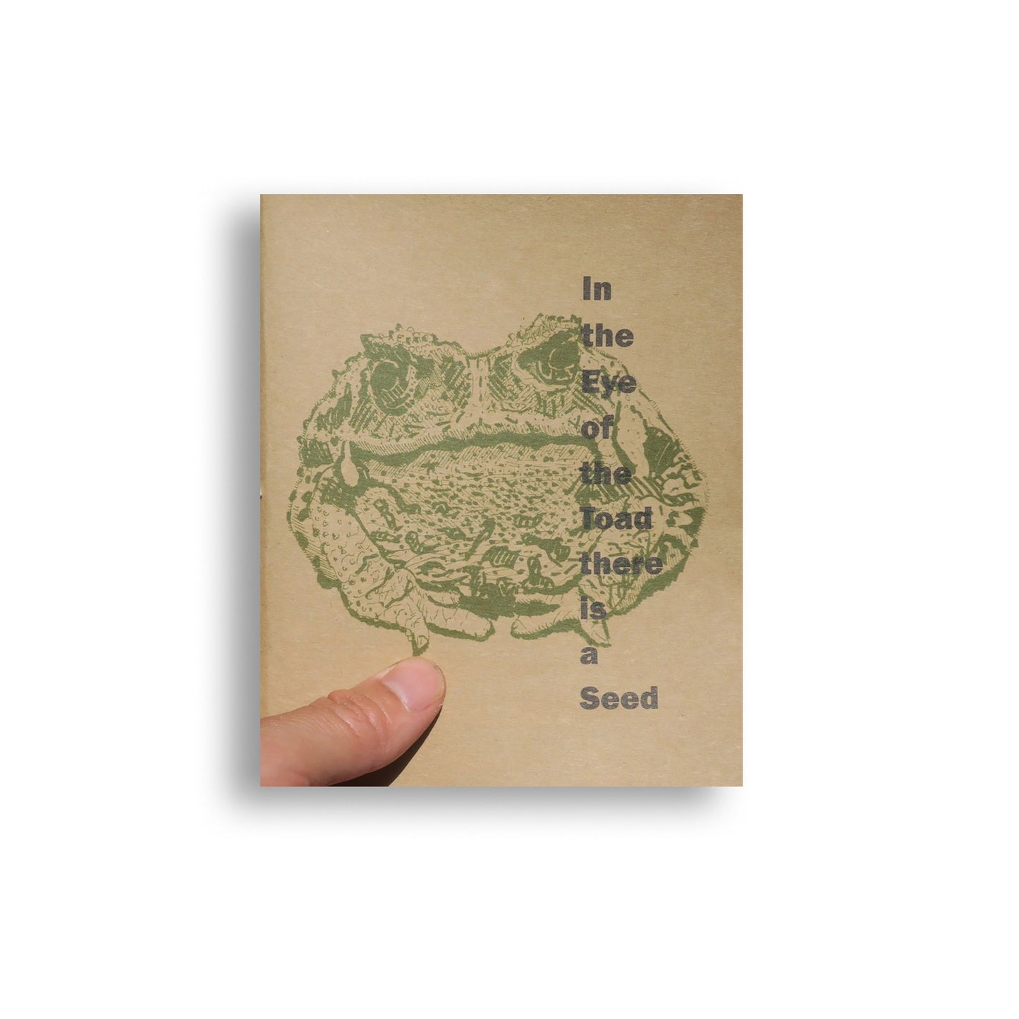 In the Eye of the Toad there is a Seed