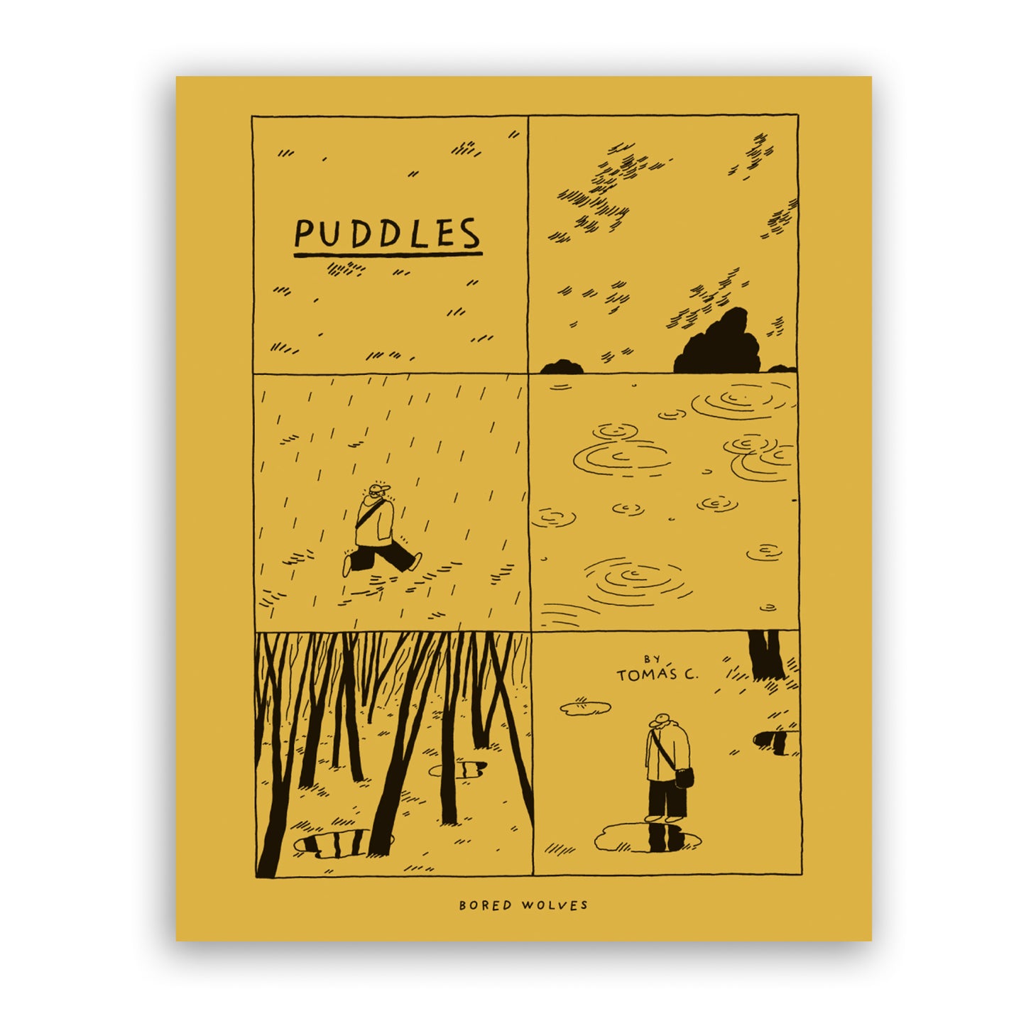 Puddles