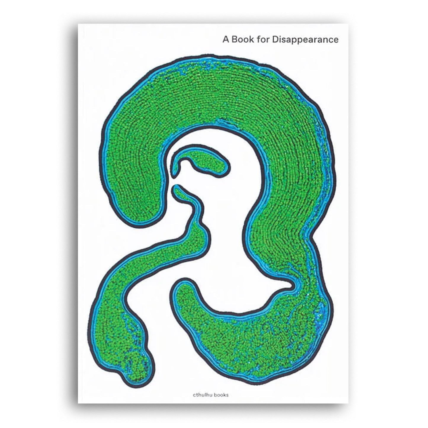 A Book of Disappearance
