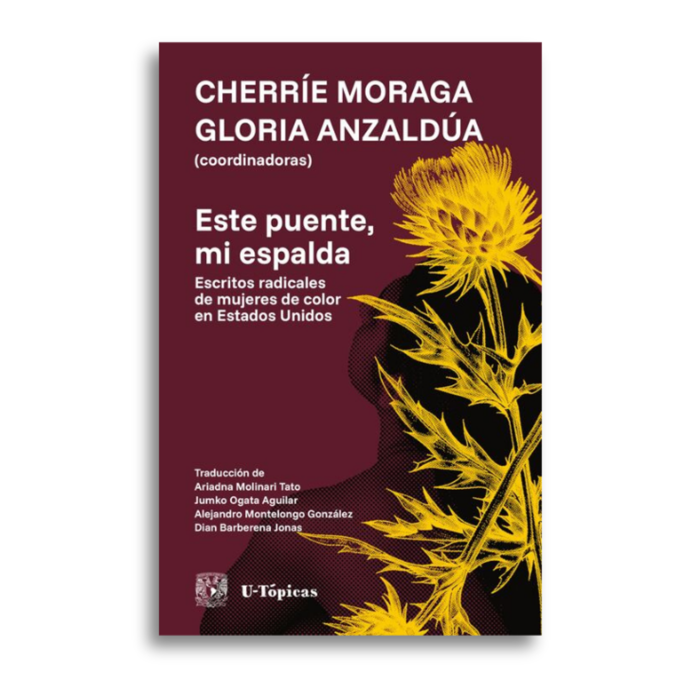 Este puente, mi espalda