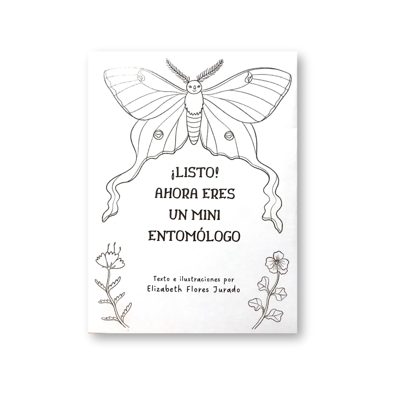 Guía para mini entomólogos