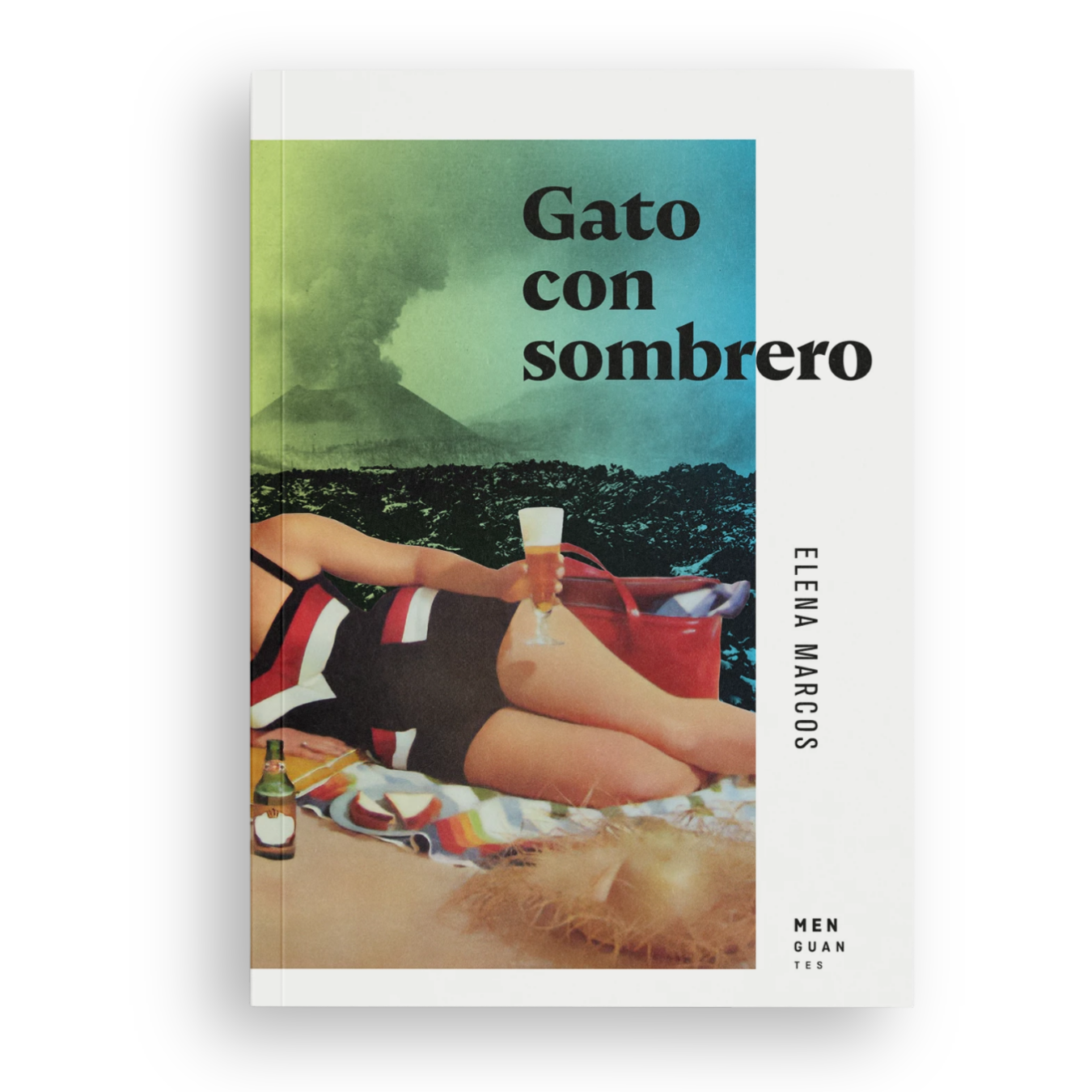 Gato con sombrero