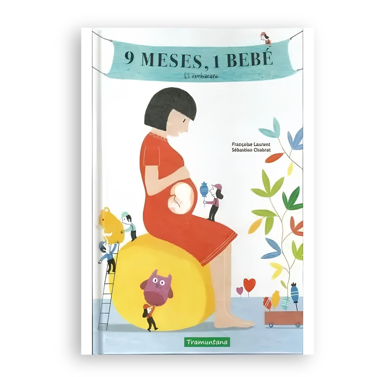 9 meses, 1 bebe: El embarazo