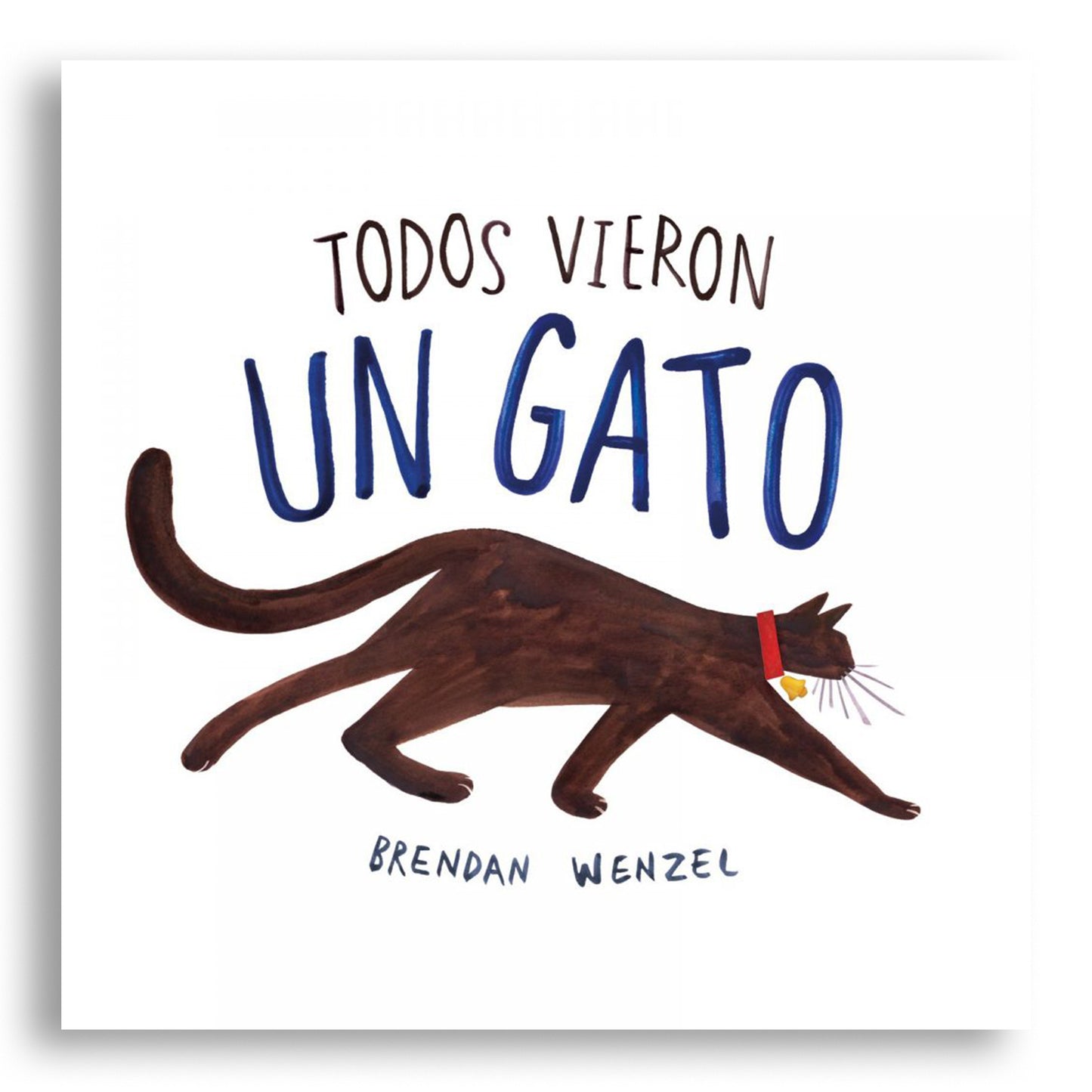 Todos vieron un gato