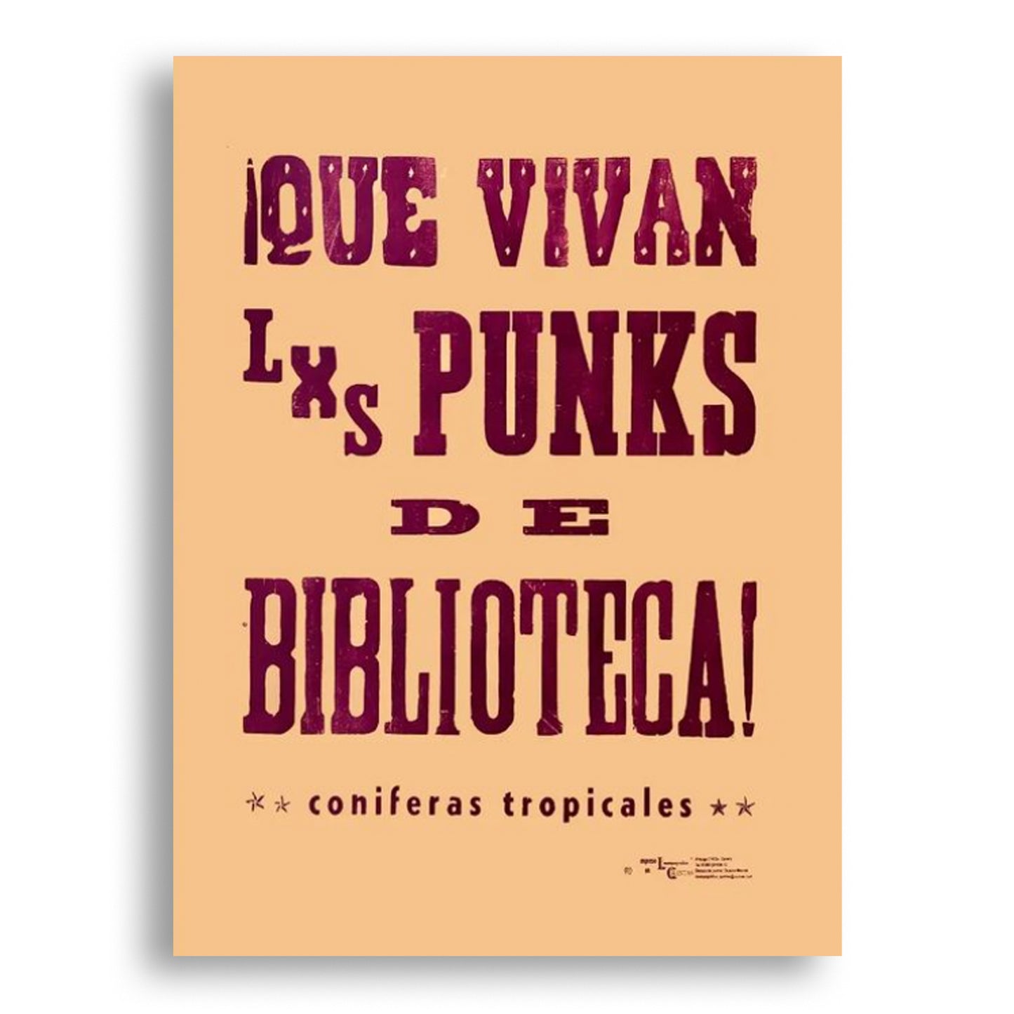 Punks de biblioteca