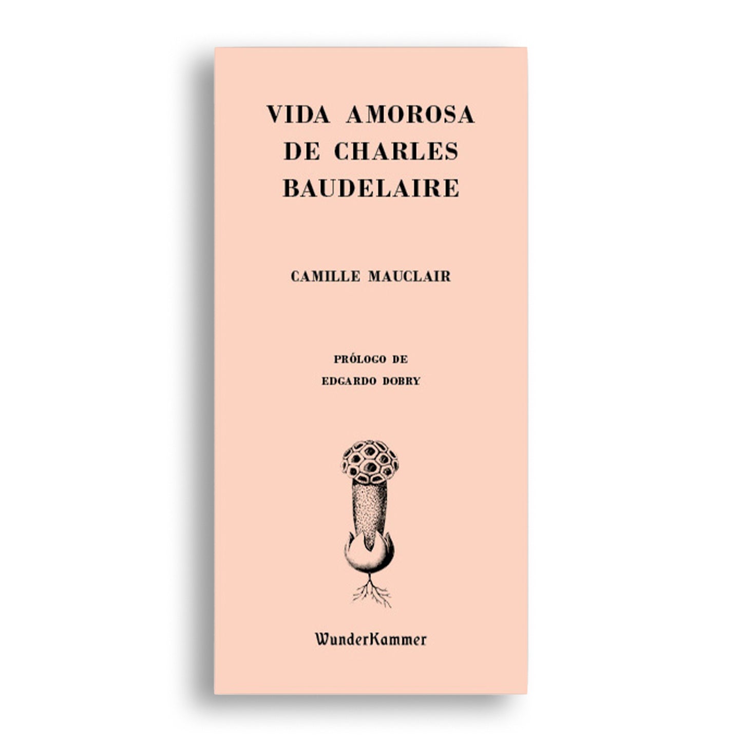 Vida amorosa de Charles Baudelaire