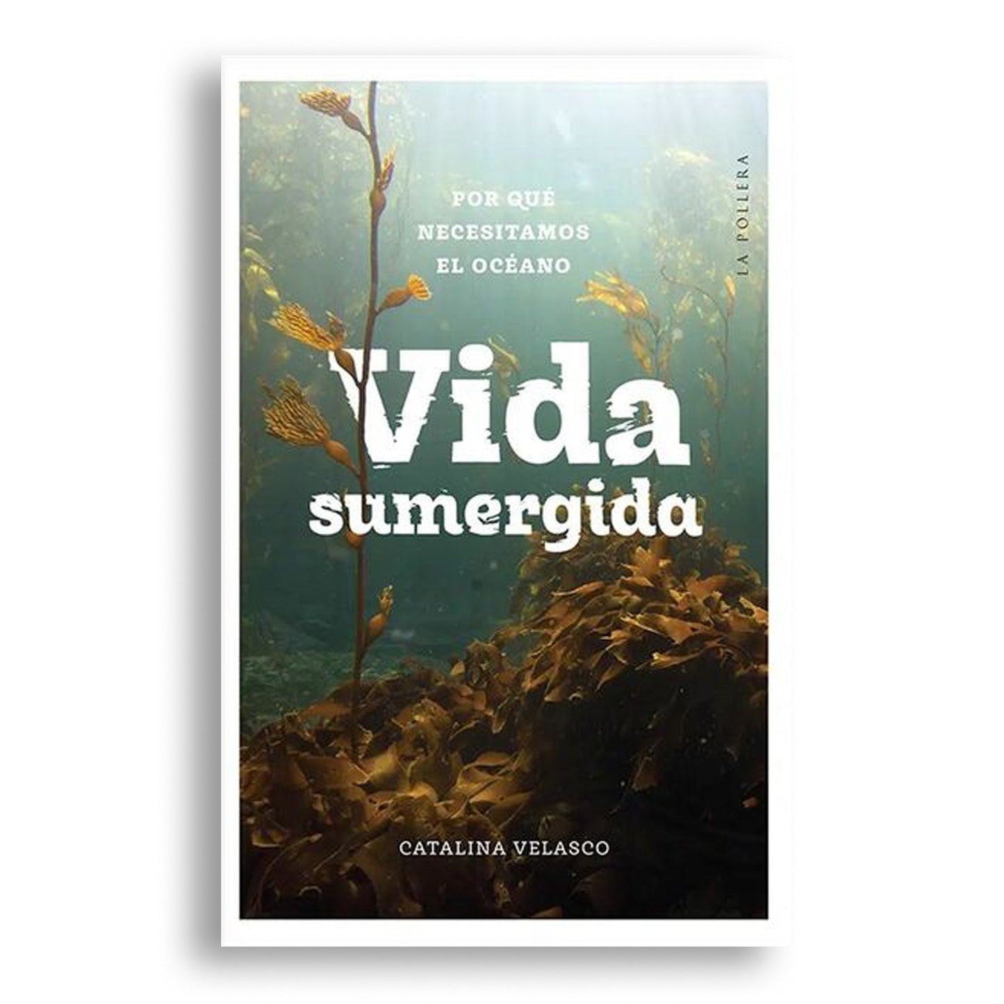 Vida sumergida: por qué necesitamos el océano