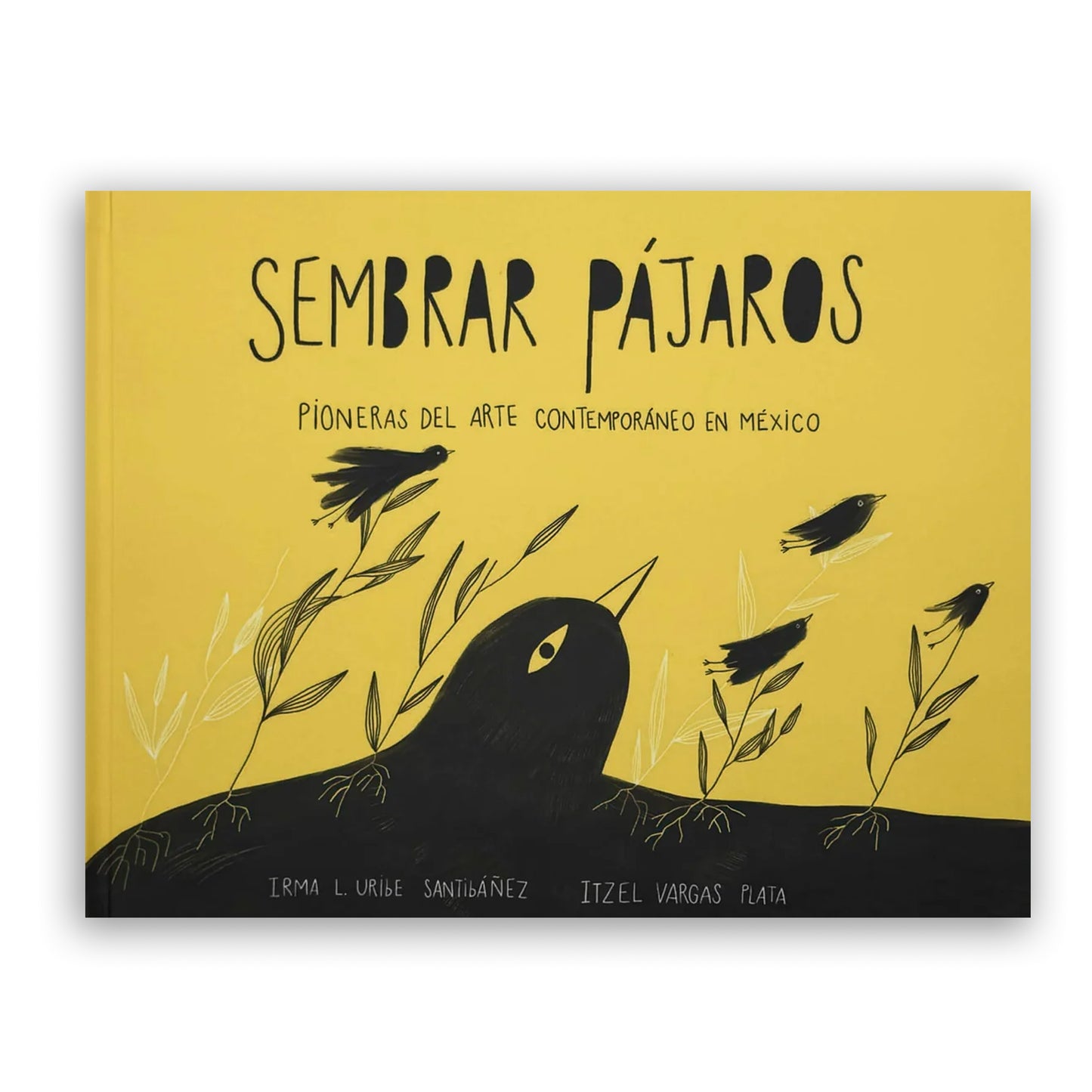 Sembrar pájaros