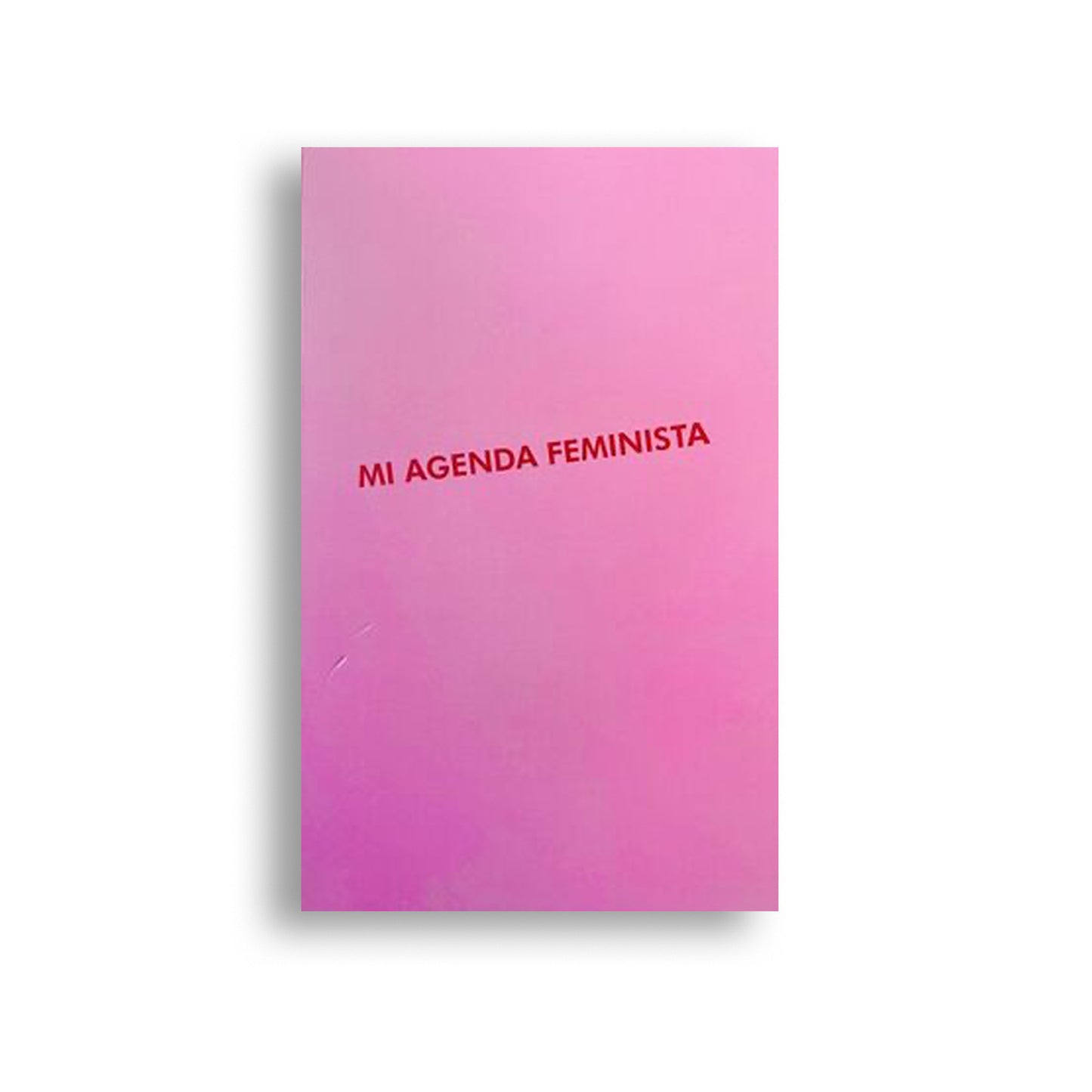 Agenda feminista 2025