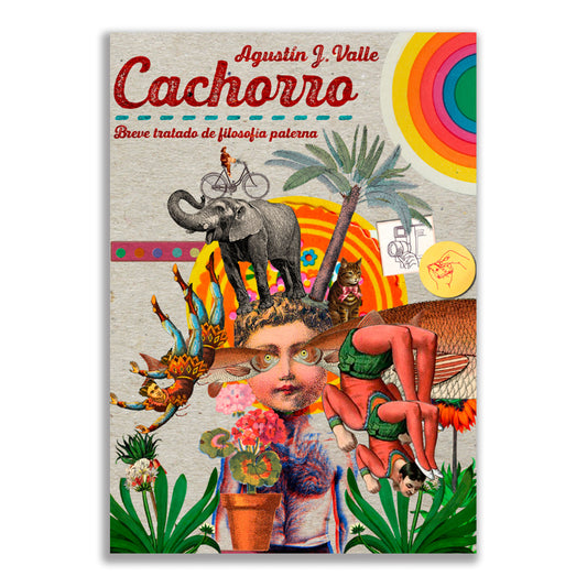 Cachorro