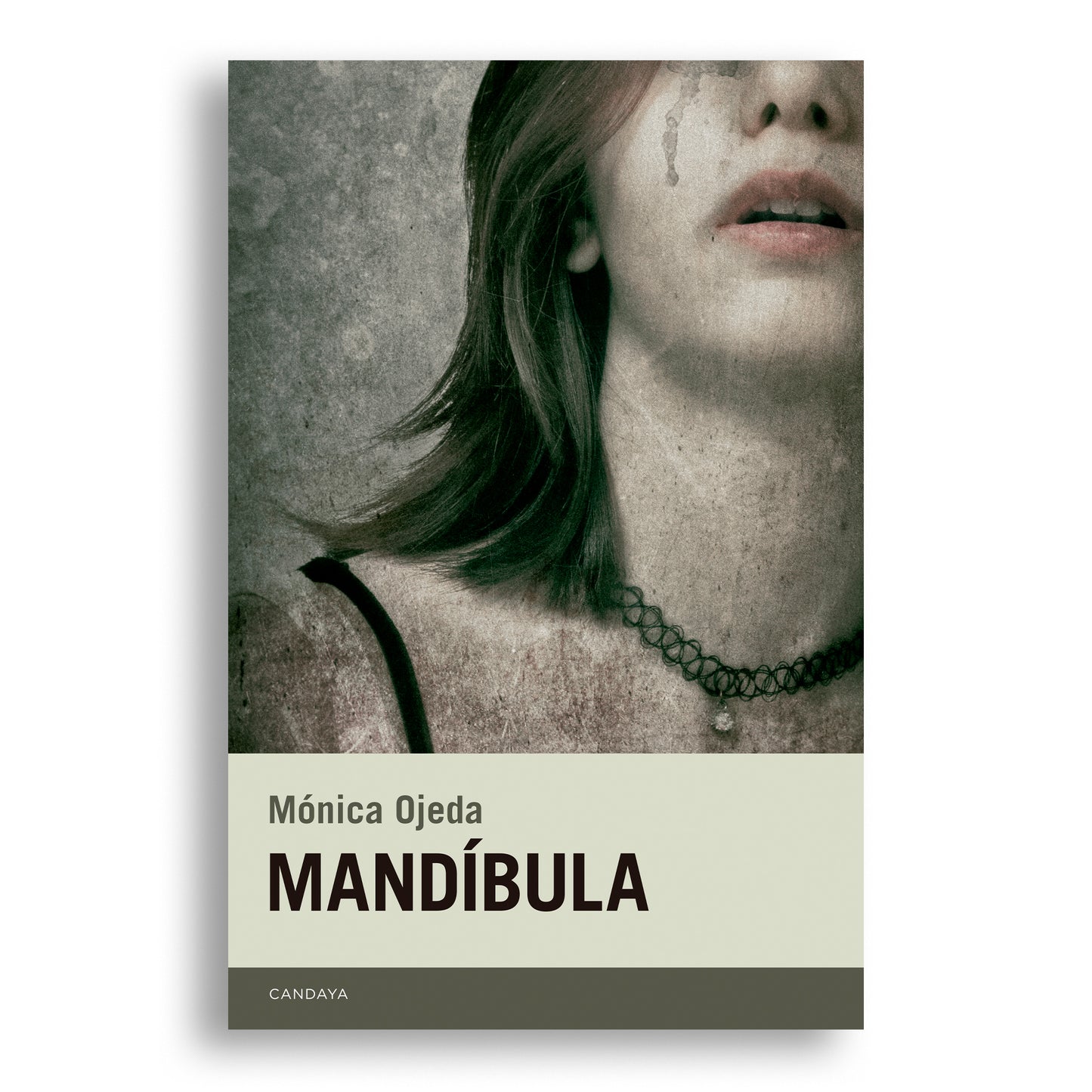 Mandíbula